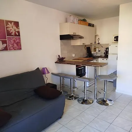 Climatise Avec Loggia Et Parking - Fr-1-610-111 *